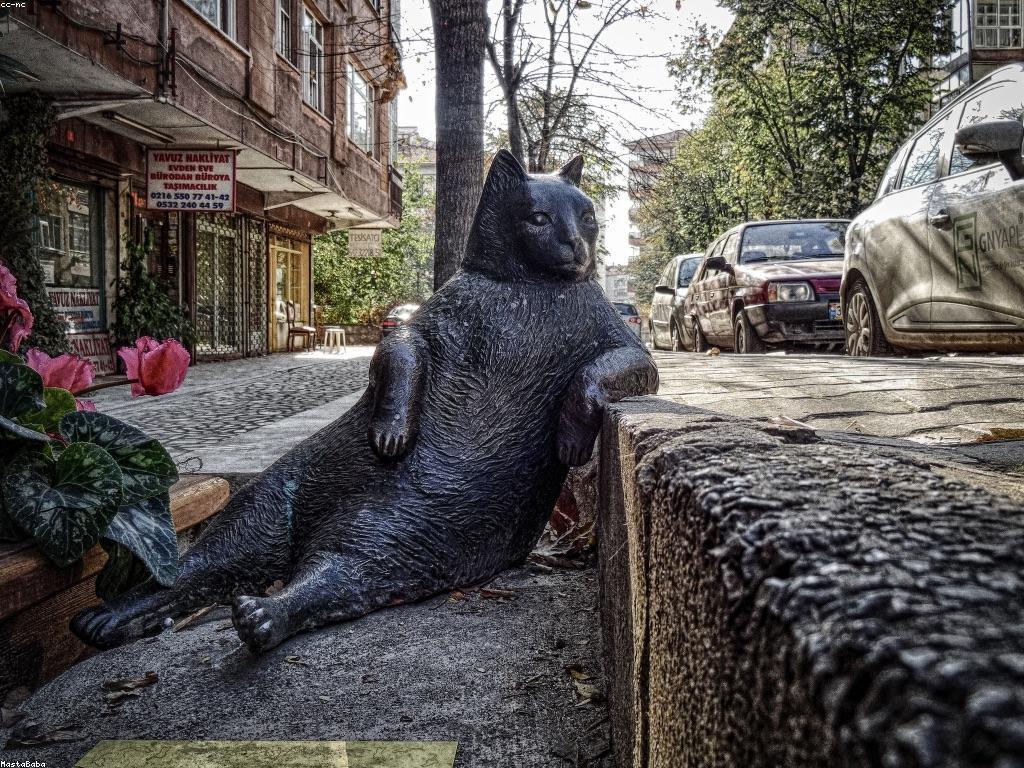 យុទ្ធសាស្ត្របាការ៉ាត៖ ការបង្កើតគំនិតសម្រាប់ការប្រកួត