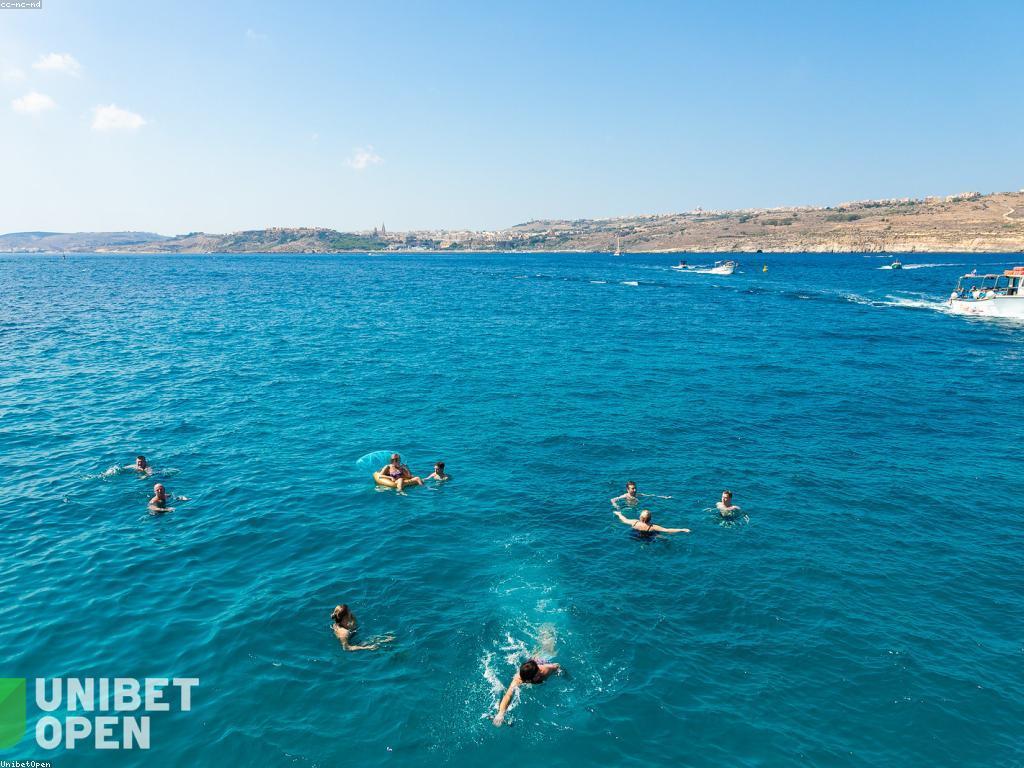 ការពិចារណាអំពីល្បែង: ស្វែងយល់អំពីក្រុមហ៊ុន និងការលេង