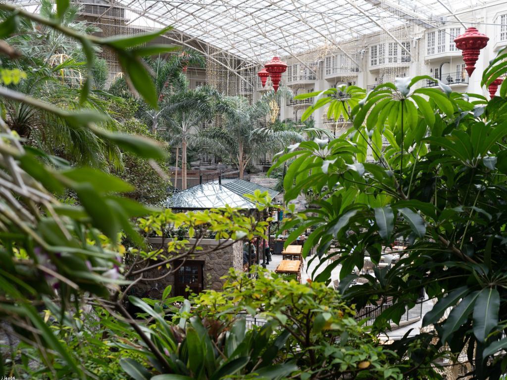 ការប្រៀបធៀបក្រុមហ៊ុន៖ វិធីសាស្រ្តសម្រាប់ជ្រើសរើសក្រុមហ៊ុនដែលត្រឹមត្រូវ